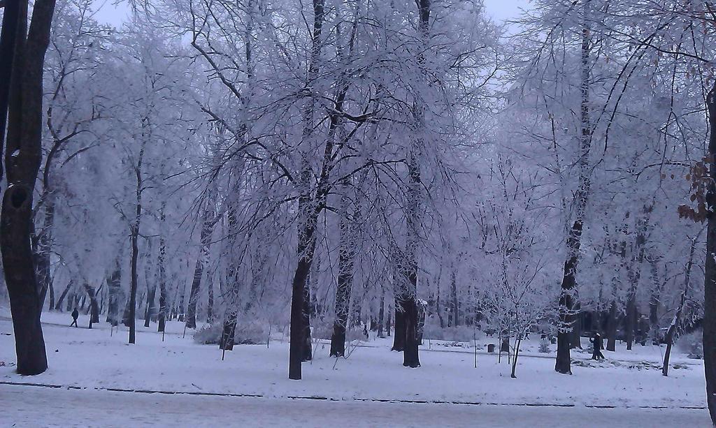 Отель Belokorichi Киев Экстерьер фото